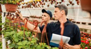 ismea giovani imprenditori agricoli