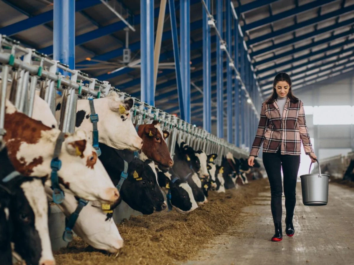 quote latte sanzioni sanatoria