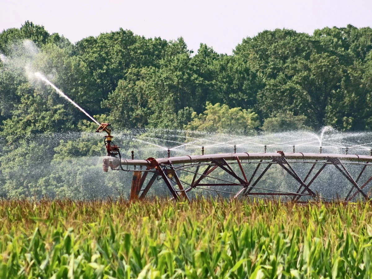 bonus giovani imprenditori agricoli